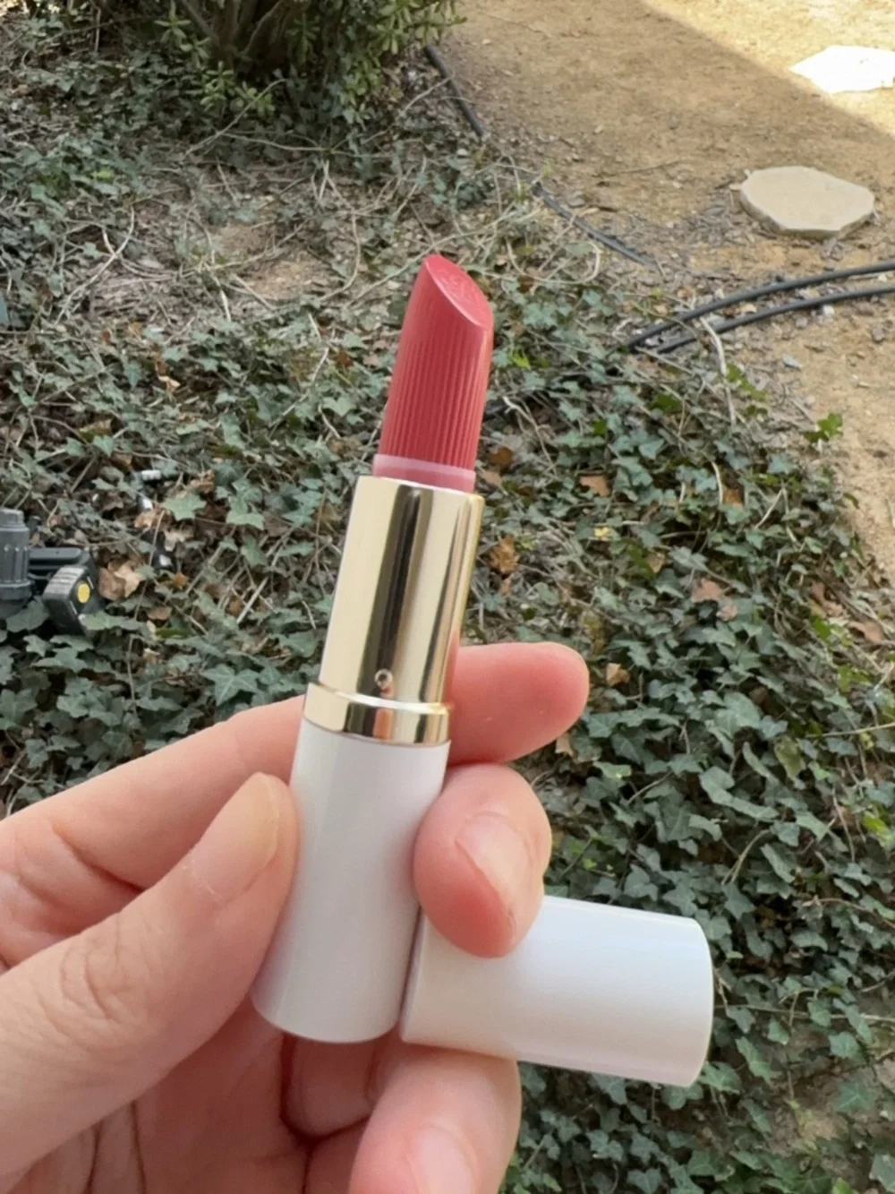 Estée Lauder Pure Color Creme Lipstick - 260 Eccentric Full Size 3.5g (No Box)